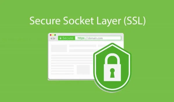 تفاوت SSL رایگان و SSL پولی برای سایت وردپرس